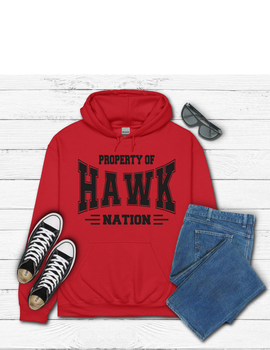 Hawks Nation Hoodie